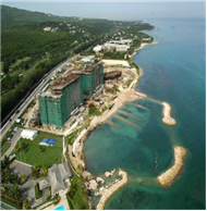 Jamaica  <palmyra>
